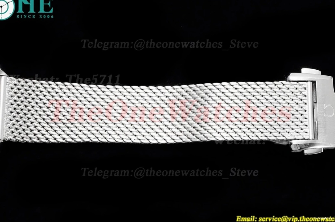 VSF 300m SS Bond 42mm 60th Dial Blue SS Seamaster A8806 James 0125